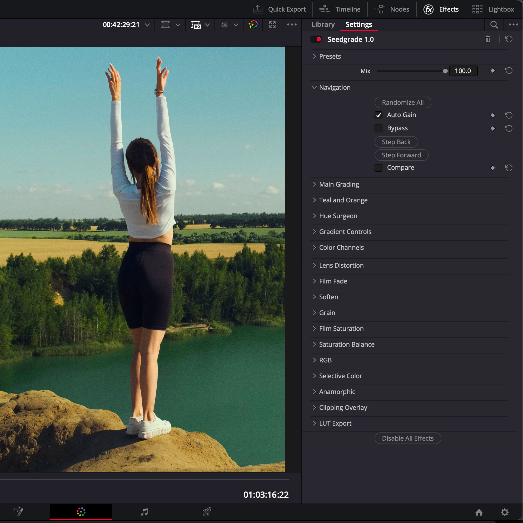 Seedgrade Plugin Interface in DaVinci Resolve